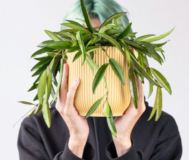 feey-kXXi6oxQ6bo-unsplash